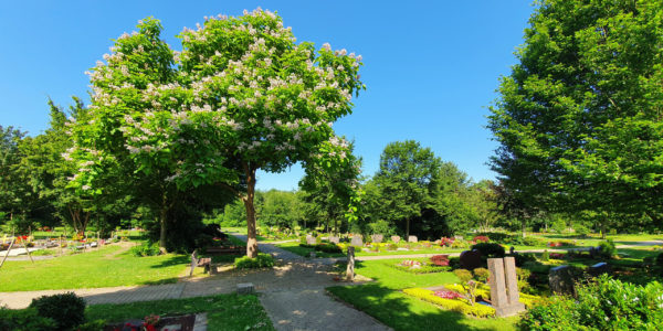 Grabfelder unter Bäumen auf dem Friedhof Beckhausen-Sutum.