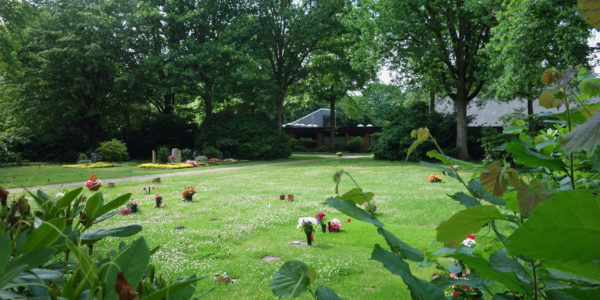 Grabfeld auf dem Friedhof in Hassel mit großem Bäumen und der Trauerhalle im Hintergrund.