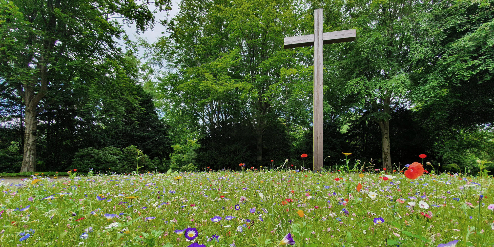 Hochkreuz auf dem Gelsenkirchener Hauptfriedhof inmitten einer Blumenwiese.