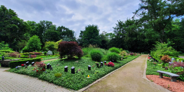 Eine Dauergabgepflegte Gemeinschaftsgrabstätte auf dem Hauptfriedhof.