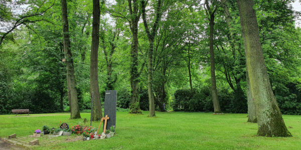 Der Friedhain auf dem Südfriedhof.