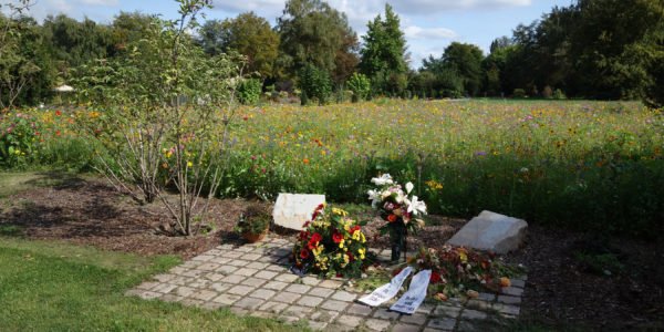 Die Naturgrabstätte für Bestattungen in einer Blumenwiese auf dem Westfriedhof.