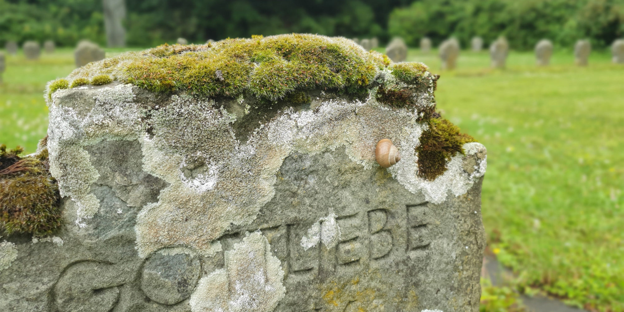 Moosbewachsenes Steinkreuz auf dem Grabfeld für gefallene Soldaten auf dem Friedhof Rotthausen mit der Inschrift Gottliebe.